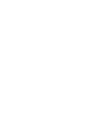 Root canals